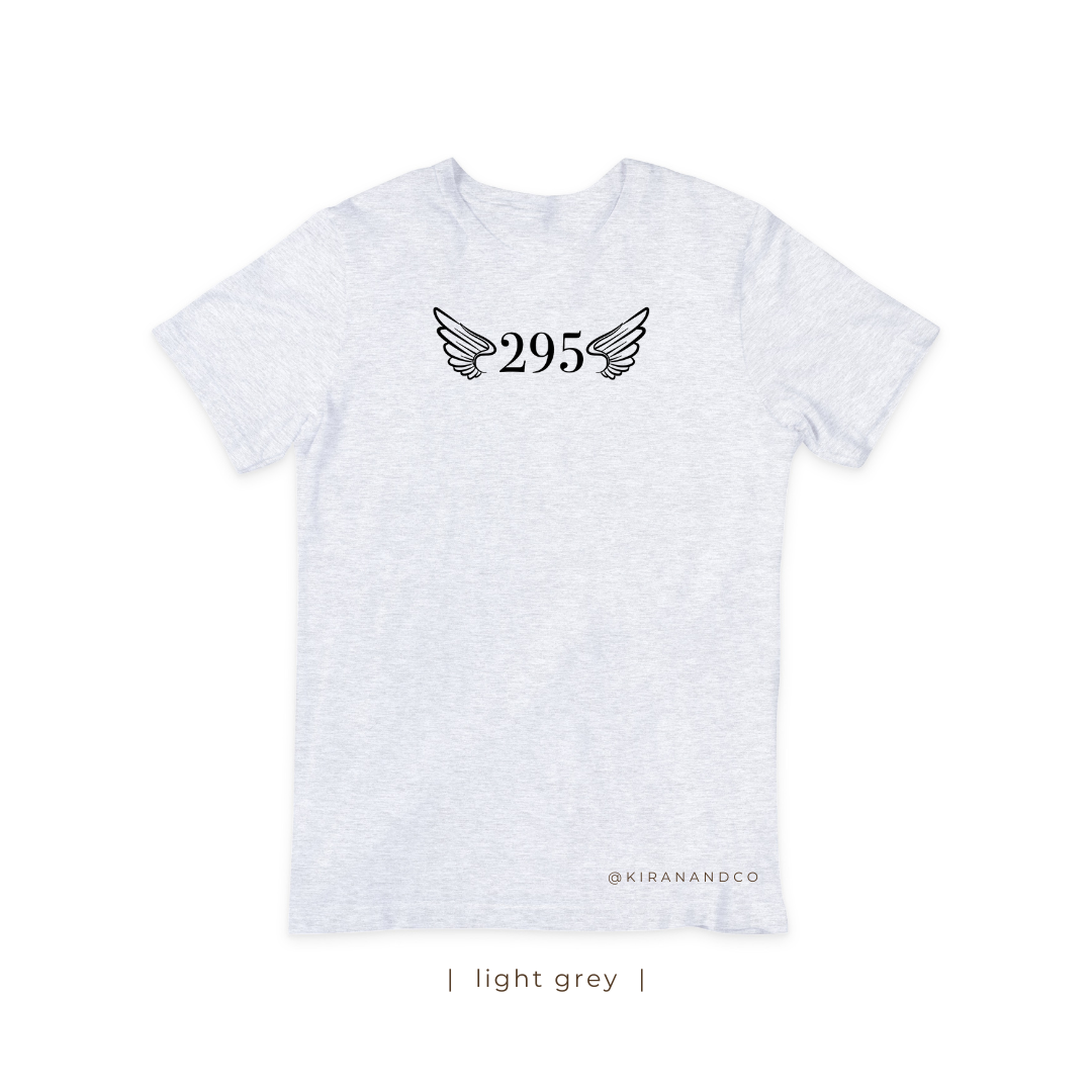 295 Wings T-Shirt